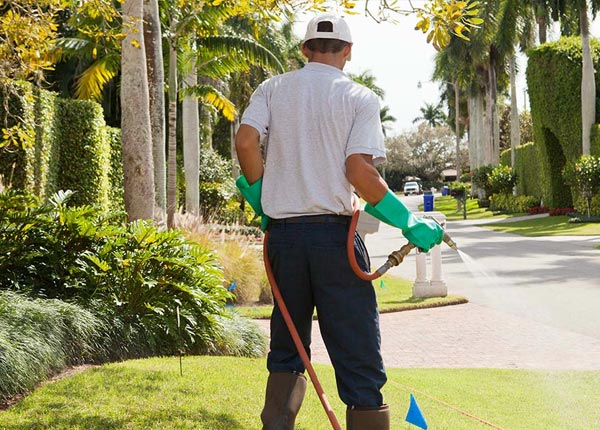 About Hiawatha IA Pest Control